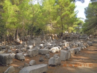 Besichtigung Phaselis, der antiken Stadt am Meer