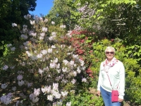 2023-11-11-Dunedin-Botanischer-Garten