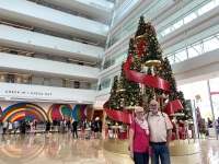 2023-11-14-Singapur-Christbaum-im-Marina-Bay-Sands-Hotel