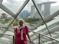 2023-11-14-Singapur-Cloud-Forest-Blick-auf-Marina-Bay-Sands-Hotel