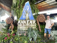 2023-11-14-Singapur-Gardens-by-the-Bay-Avatar-Ausstellung