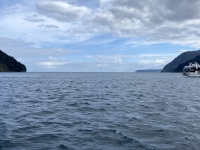 Neuseeland-Naturschutzgebiet-Te-Wahipounamu-Milford-Sound-Kopfbild