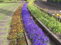  Auckland-Bastion-Point