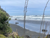 Blick auf Muriwai-Beach