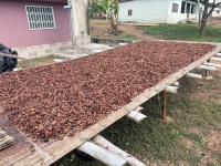 Kakaoproduktion