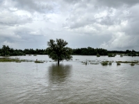 Hochwasser-Fluss-Ijssel