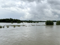 Ijssel-ist-ein-Mündungsarm-des-Rheins-in-die-Nordsee