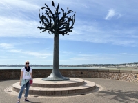 2024-06-29-Jersey-St-Helier-Freedome-Tree