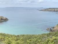 2024-07-02-Insel-Sark-Landbruecke-La-Coupee-5