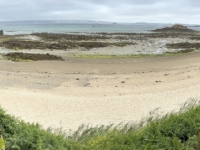 2024-07-03-Insel-Herm-Shell-Beach