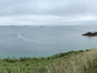 2024-07-03-Insel-Herm