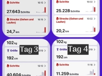 Kilometeraufzeichnung der gegangenen 4 Tage